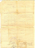 Z60 DOCUMENT VECHI-COPIE LEGALIZATA DECIZIE EXPULZARE ANDREI G. PARTENI -1913