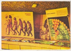 bnk cp Ploiesti - Muzeul de biologie umana - Sector antropogeneza - necirculata