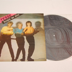 Vitesse – Keepin' Me Alive - disc vinil ( vinyl , LP ) NOU