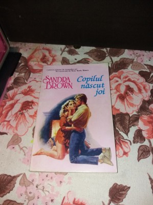 COPILUL NASCUT JOI SANDRA BROWN/TD foto