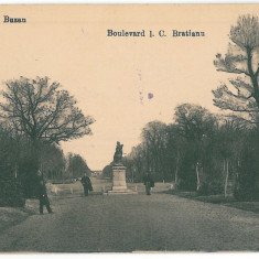 4200 - BUZAU, Bratianu Ave. Romania - old postcard, CENSOR - used - 1918