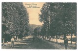 4217- RM. VALCEA, Ave. T. Vladimirescu - old postcard, CENSOR - used - 1917, Circulata, Printata