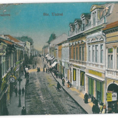 4221 - CRAIOVA, street Unirii - old postcard - unused