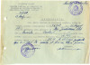 Z168 DOCUMENT VECHI- JINDICEANU ILIE , PENSIONAR- ELENA JINDICEANU -SCOALA 1951