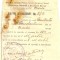 Z170 DOCUMENT VECHI-BULETIN DE VACCINARE, PENTRU CONSTANTIN CONSTANTINESCU -1927