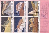 AVIS DE PRIMIRE,FRANCAT CU TIMBRE SERIE COMPLETA INSECTE DIN PESTERI1993,ROMANIA