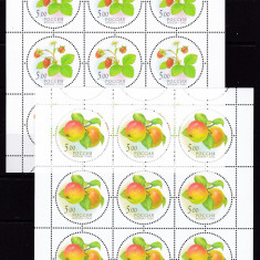 Rusia 2003 fructe MI 1113-1117 5 kleib MNH w48