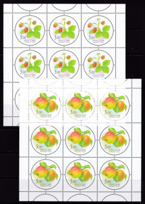 Rusia 2003 fructe MI 1113-1117 5 kleib MNH w48 foto