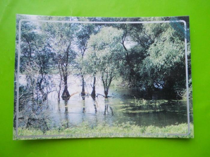 HOPCT 35188 REVARSARE LACUL GORGOVAT -DELTA DUNARII-JUD TULCEA-NECIRCULATA foto mare HOPCT 35188 REVARSARE LACUL GORGOVAT -DELTA DUNARII-JUD TULCEA-NECIRCULATA foto mare