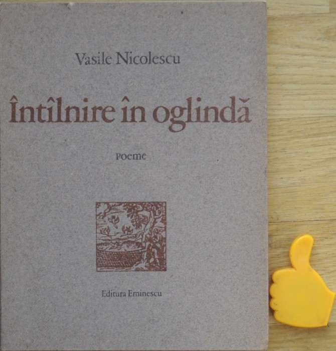 Vasile Nicolescu Intalnire in oglinda foto mare Vasile Nicolescu Intalnire in oglinda foto mare