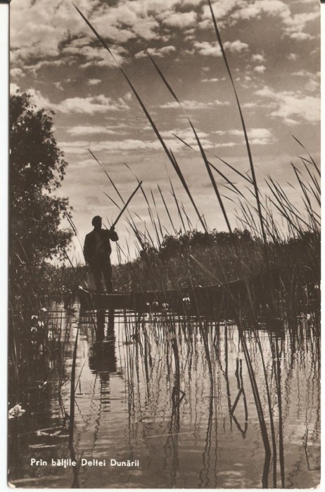 PRIN BALTILE DELTEI DUNARII 1961 foto mare PRIN BALTILE DELTEI DUNARII 1961 foto mare