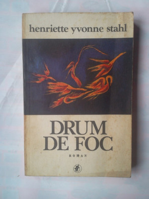 (C360) HENRIETTE YVONNE STAHL - DRUM DE FOC foto