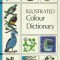 AS - ILUSTRATED COLOUR DICTIONARY VOL. 1, 2