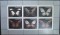 Foto  - 3