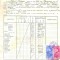 Z207 DOCUMENT VECHI -COPIE MATRICULARA -LICEUL DE FETE, BACAU-POPOVICI VIVIANA