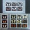 DAGESTAN (PL RUSIA) - FLUTURI, 1998, 24 V IN 3 M/SH, NEOBLIT. - PLR 30