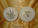 Set doua farfurii de colectie Swiss-Langenthal, vintage