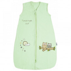 Sac de dormit 0-6 luni 2.5 Tog Mint Owl Slumbersac foto