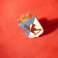 Insigna cu buton - Emblema cu Schior si Coroana , metal si email , h= 2 cm