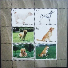DAGESTAN (PL RUSIA) - CAINI DE RASA, 2003, 6 V IN 1 M/SH, NEOBLIT. - PLR 37 foto