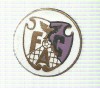 AMS# - INSIGNA FOTBAL F.C. ARGES