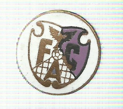 AMS# - INSIGNA FOTBAL F.C. ARGES foto