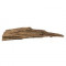 Radacina pentru decorarea acvariului DRIFT WOOD - 28 x 10 x 3 cm