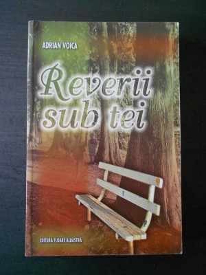 ADRIAN VOICA - REVERII SUB TEI foto