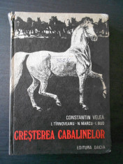 C. VELEA - CRESTEREA CABALINELOR (1980, editie cartonata) foto