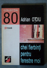 Adrian O?oiu - Chei fierbin?i pentru ferestre moi foto