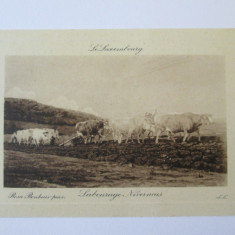 Carte postala Luxembourg aprox. 1910