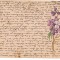 CPI (B9730 ) CARTE POSTALA - FELICITARE, CIRCULATA LA 1910