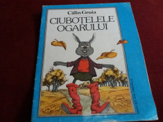 CALIN GRUIA - CIUBOTELELE OGARULUI foto