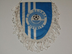 Fanion fotbal - GLORIA BISTRITA foto