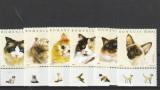 Romania ,pisici cu TAPS ,nr lista 1707., Nestampilat