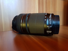 Canon EF-S 55-250mm f/4.0-5.6 IS STM foto