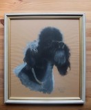 Radisav Raja Dokic-Tablou cu c&acirc;ine caniche, Animale, Pastel, Realism