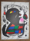 LITOGRAFIE JOAN MIRO V