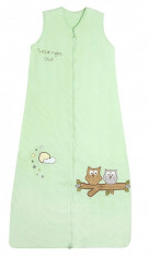 Sac de dormit Mint Owl 1-3 ani 2.5 Tog foto