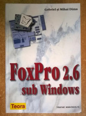 Gabriel si Mihai Dima - FoxPro 2.6 sub Windows foto