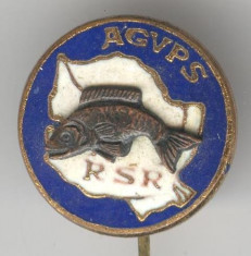 AGVPS - Pescuit si Vanatoare RSR - Insigna Romania foto