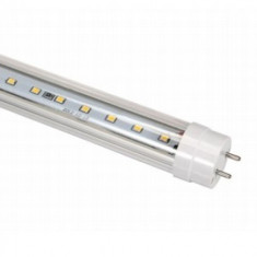 Tub LED T8 Clar 150cm 24W 360? foto