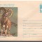 IP 9807 INTREG POSTAL: 1980 ANUL EUROPEAN AL OCROTIRII NATURII. MUFLONUL