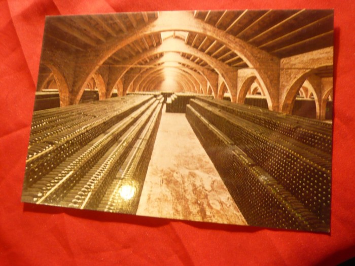 Ilustrata Crama Rondel Spania - Sticle de Vin la invechit