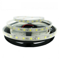 Banda LED 5050 60 SMD/ML Submersibila foto