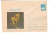 IP 9804 INTREG POSTAL: 1980 ANUL EUROPEAN AL OCROTIRII NATURII. VEVERITA