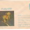 IP 9804 INTREG POSTAL: 1980 ANUL EUROPEAN AL OCROTIRII NATURII. VEVERITA