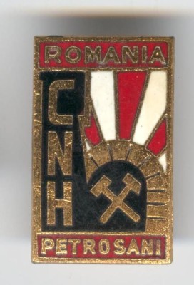 Insigna MINERIT - CNH - Combinatul Huilei Petrosani foto