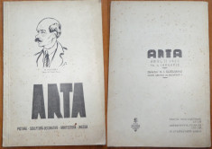 Revista Arta , 1933 , an 2 , nr. 1 , Paciurea , Oscar Han , Gusti , Guguianu foto