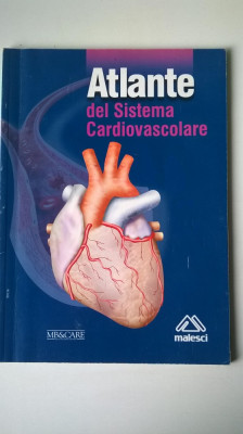 Atlante dei Sistema Cardiovasculare (5+1)4 foto
